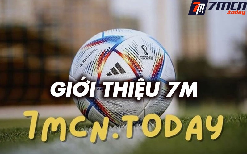 Giới thiệu thetriumphnews.com